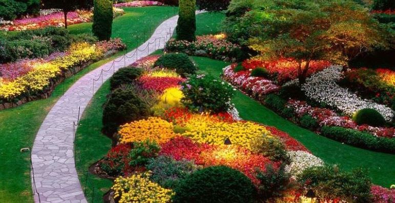 Hardscape și Amenajări